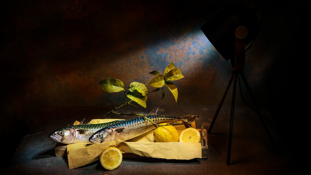 Dramatic Mackerel Still Life by Felice Angelino
