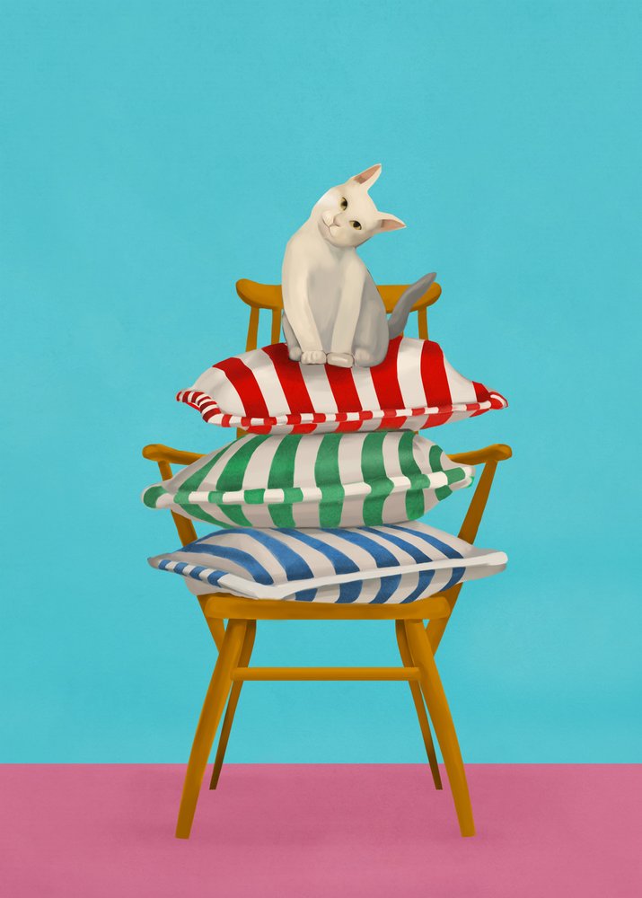 Curious Cat On Pillows by Flow Line