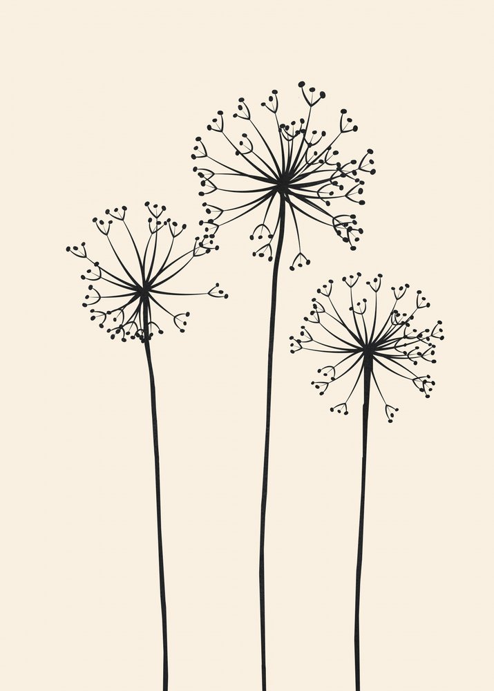 Minimalist Dandelion Blooms by Flow Line