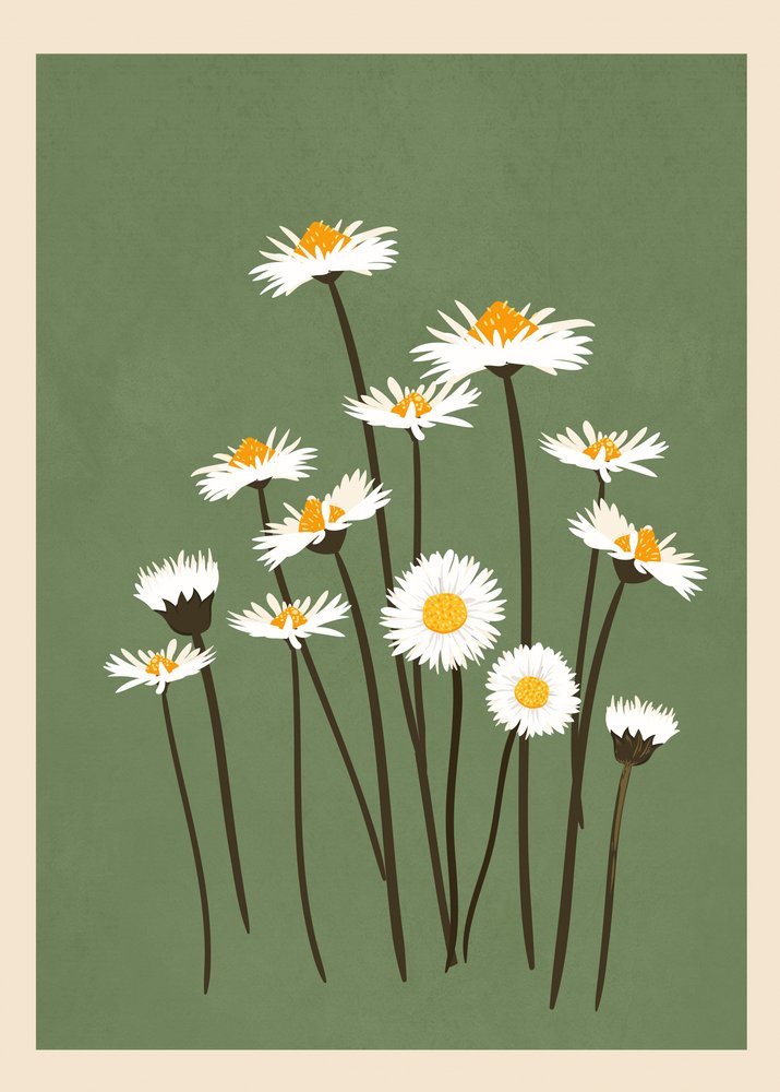 White Daisies on Green by Flow Line