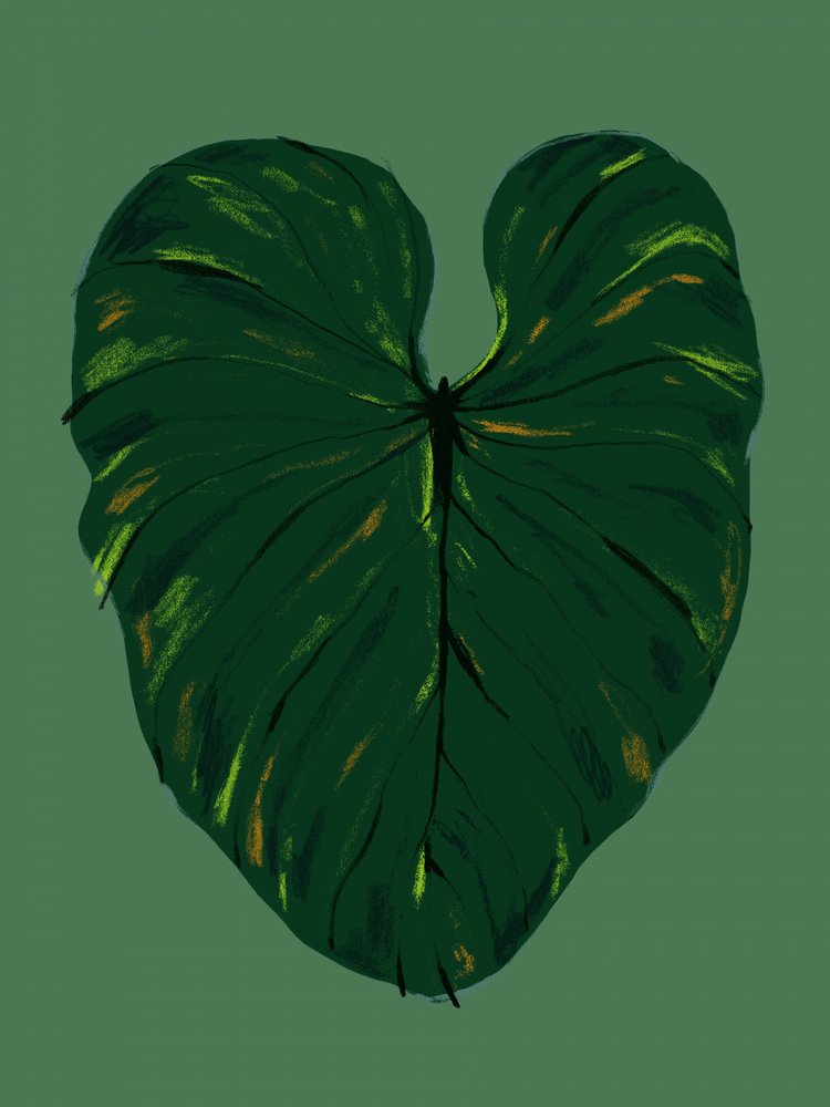 Dark Green Tropical Leaf by Francesco Gulina