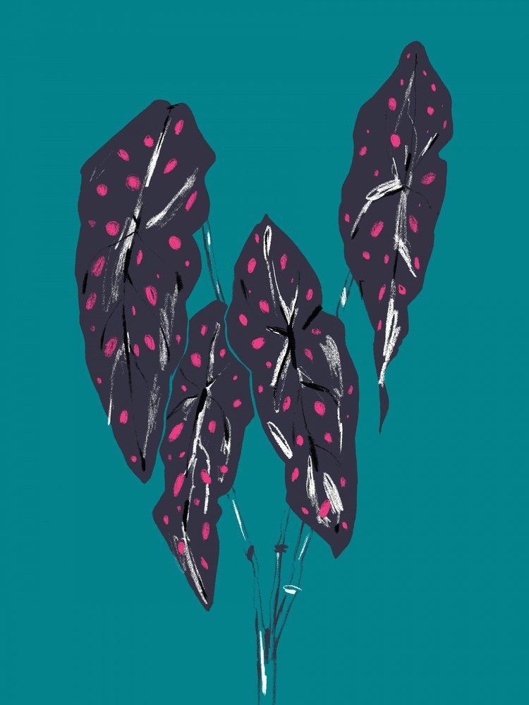 Dark Tropical Caladium Leaves by Francesco Gulina