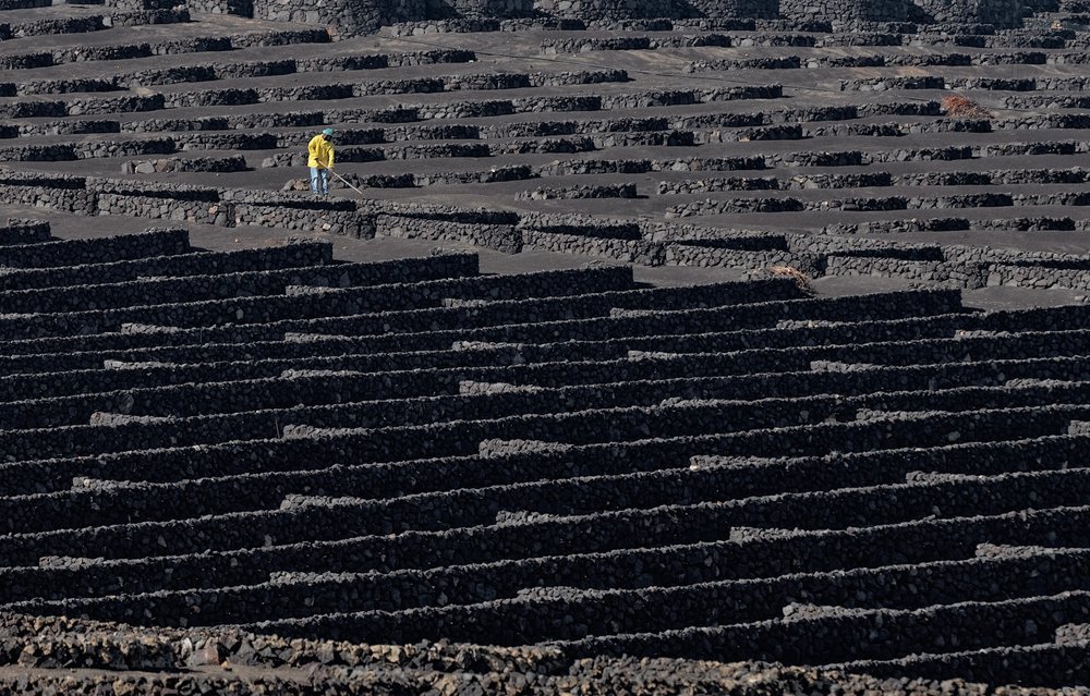 Volcanic Vineyard Worker by Francois Casanova