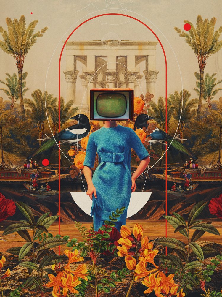 Her Asymmetries by Frank Moth