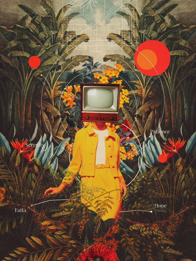 She Came From the Wilderness by Frank Moth