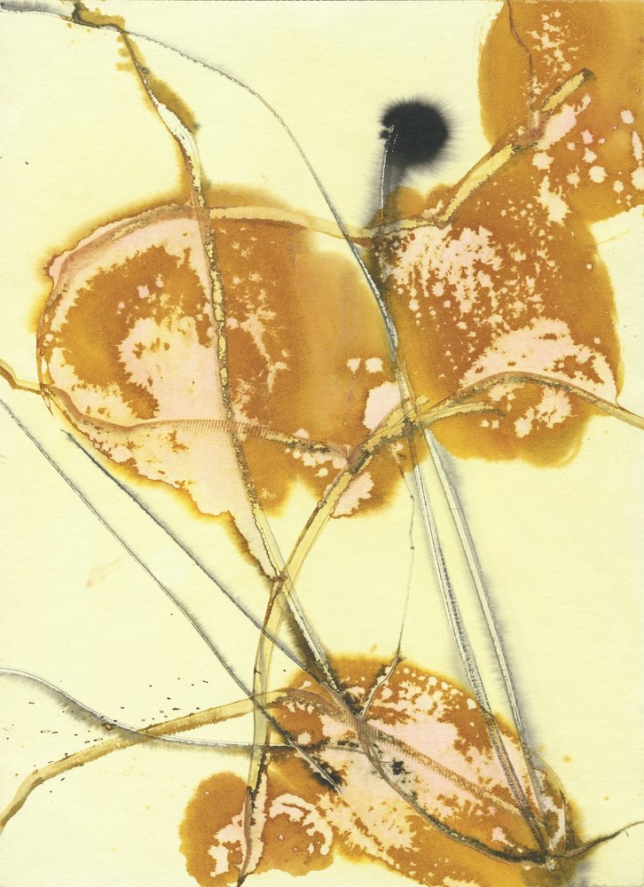 Organic Golden Washes by Frederic Belaubre