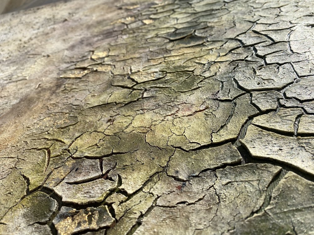 Weathered Organic Cracks by Gabriela Aleksandra Szuba