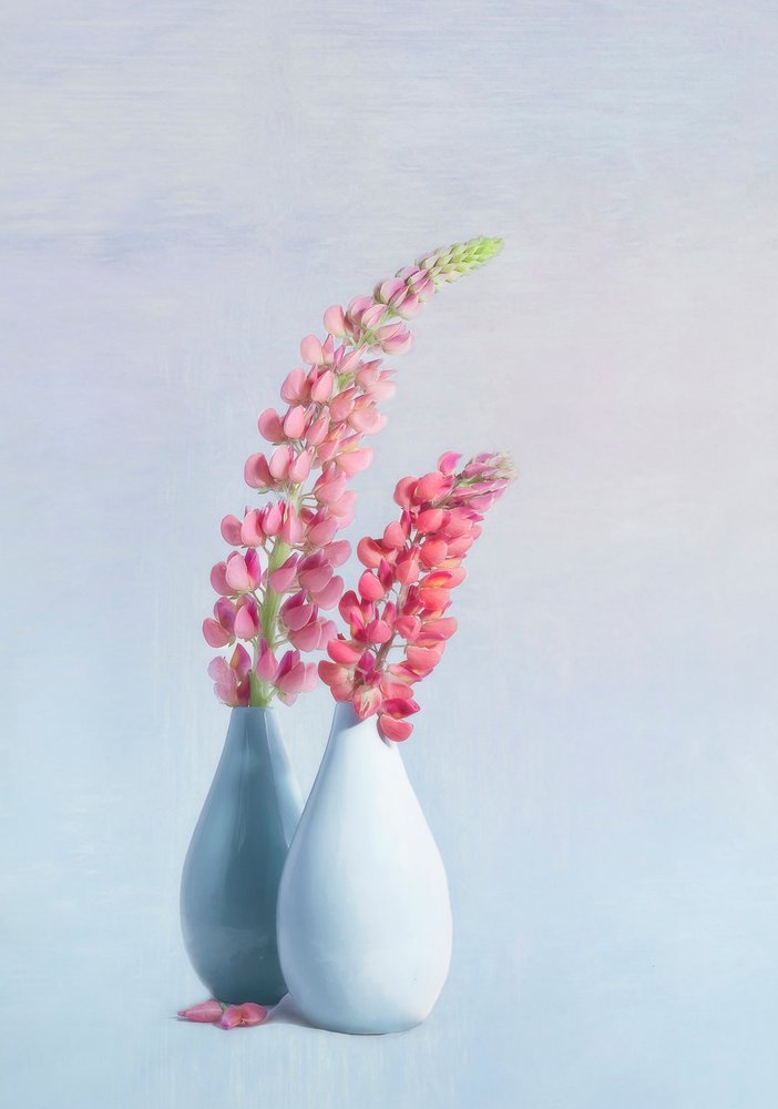 Soft Pink Lupine Vases by Gaille Gray