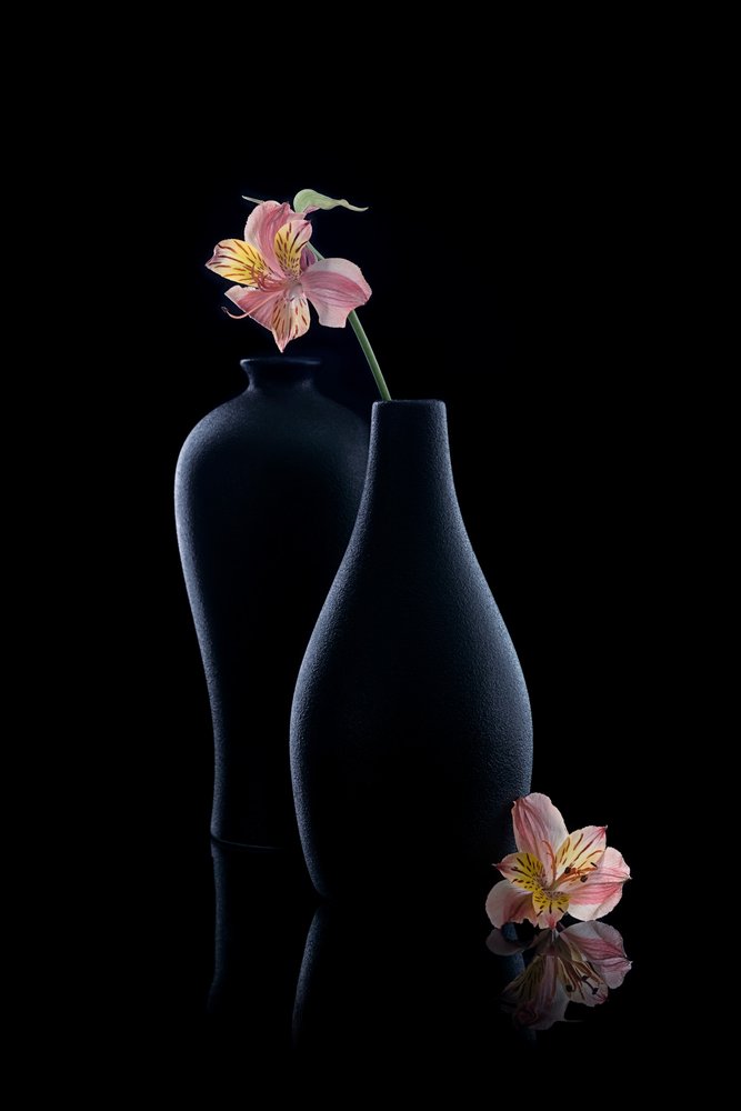 Elegant Alstroemeria Vases by GaoSL