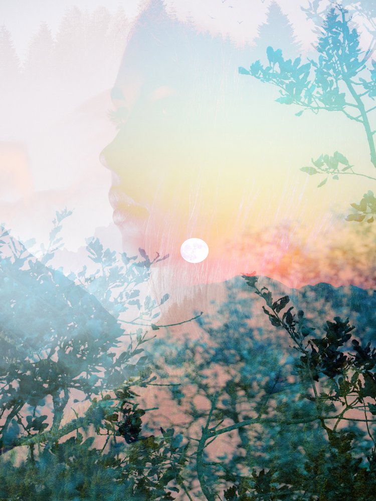 Serene Nature Profile by Gemma Bardot