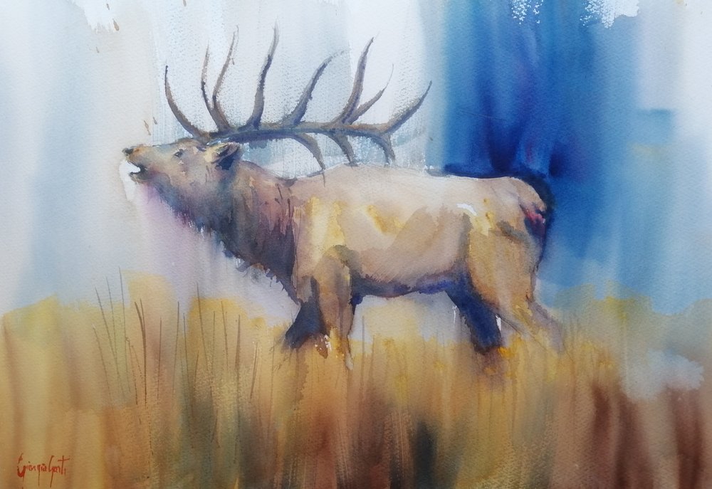 Autumn Elk Bugle by Giorgio Gosti