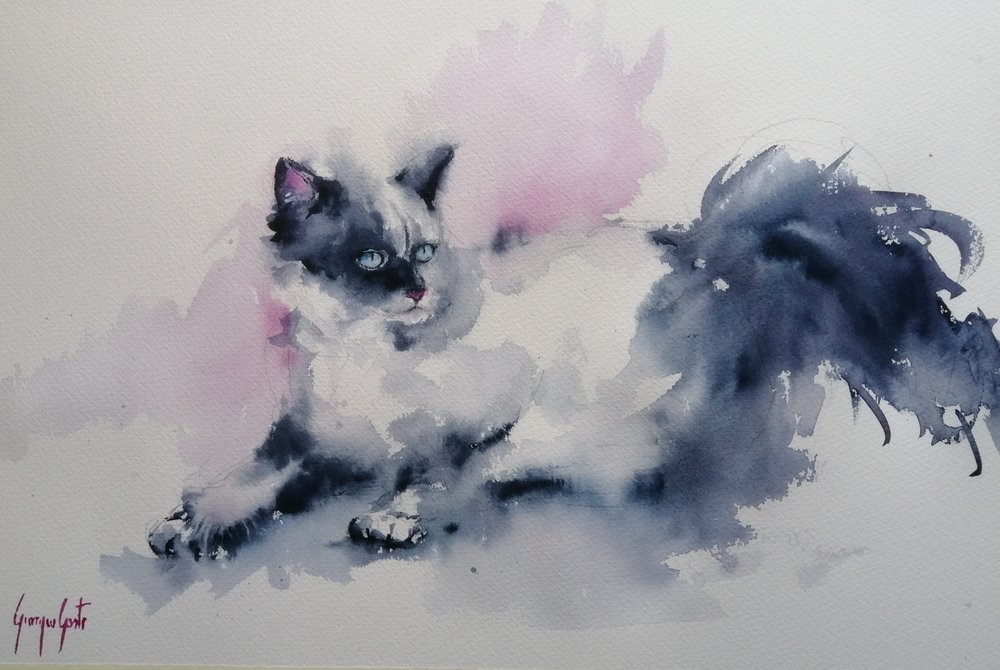 Blue Eyed Watercolor Cat by Giorgio Gosti