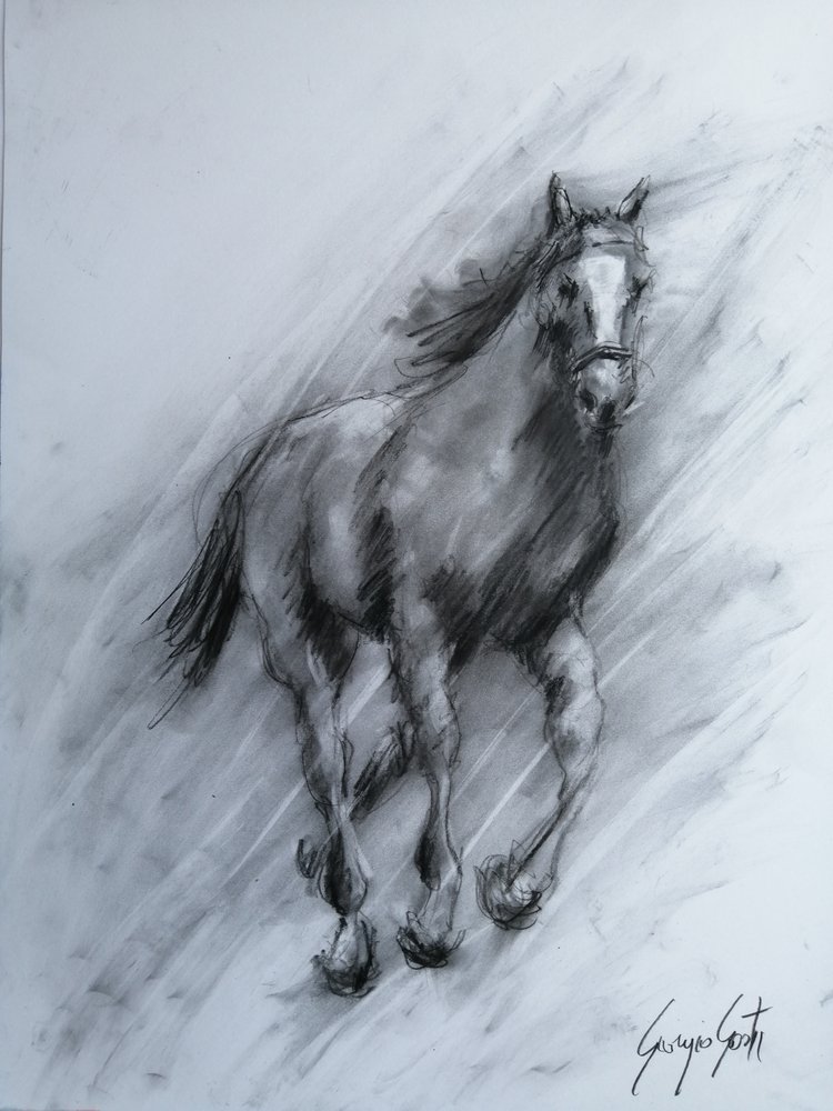 Dynamic Charcoal Horse by Giorgio Gosti
