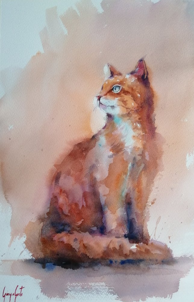 Orange Watercolor Cat by Giorgio Gosti