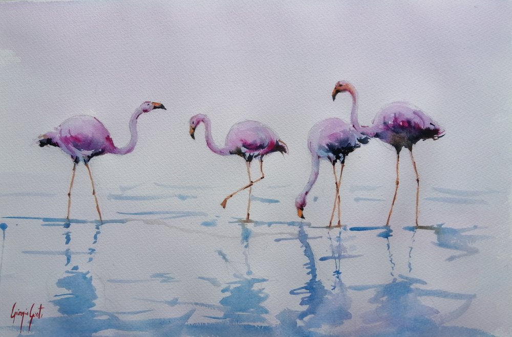 Pink Flamingos Wading by Giorgio Gosti