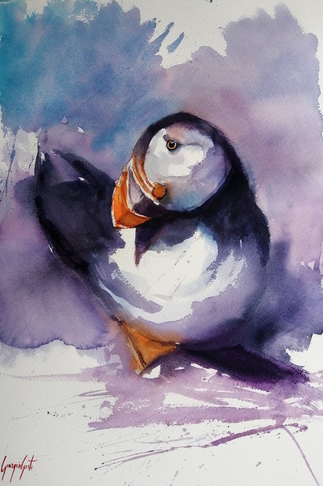 Purple Puffin Portrait by Giorgio Gosti