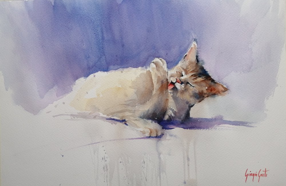 Sweet Cat Licking by Giorgio Gosti