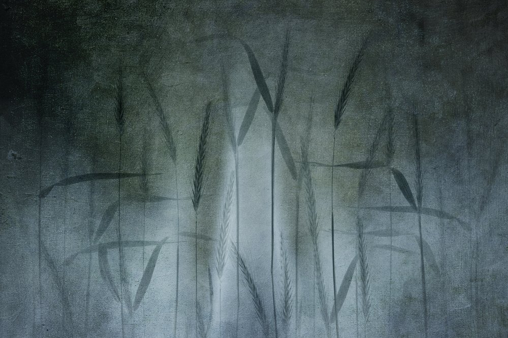 Abstract Wheat Field by Greetje van Son