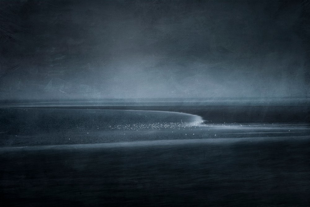 Twilight Shore Birds by Greetje van Son