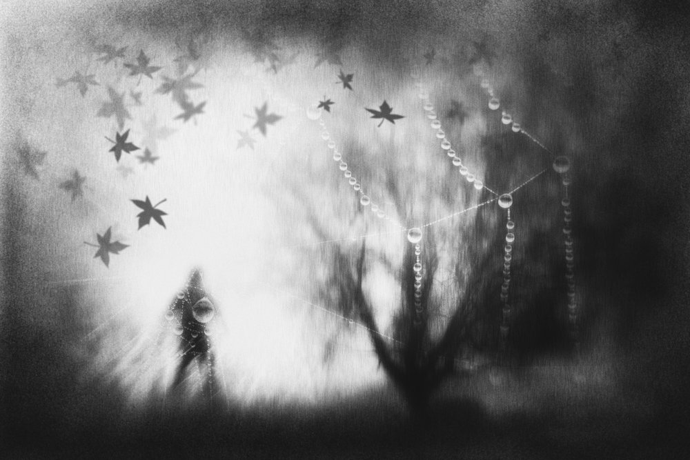 Misty Autumn Dream by Gustav Davidsson