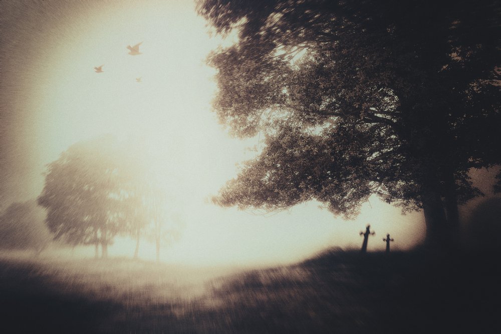 Misty Graveyard Crosses von Gustav Davidsson