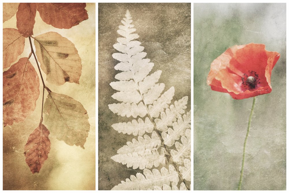 Vintage Nature Trio by Gustav Davidsson
