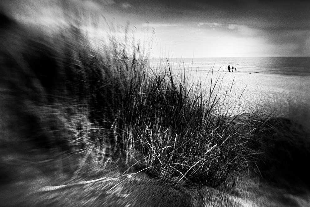 Windswept Dune Grass by Gustav Davidsson