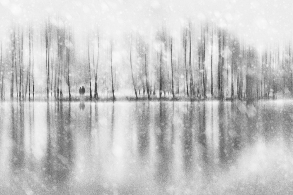 Winter Couple Reflection von Gustav Davidsson