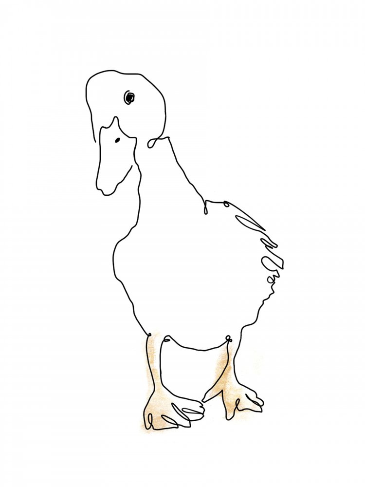 Sweet Duckling Line Art by Hanna Lee Tidd
