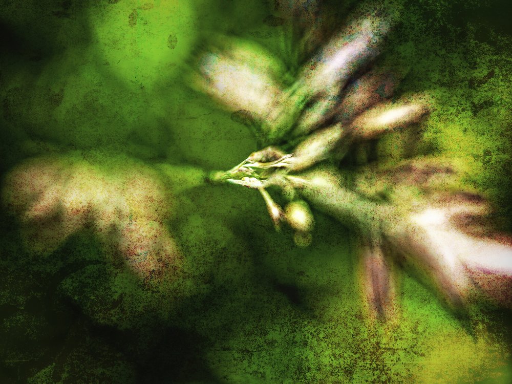 Abstract Green Textures by Ida Publishing