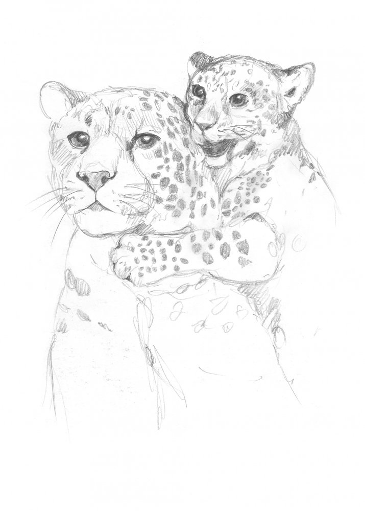Leopards by Isabelle Brent