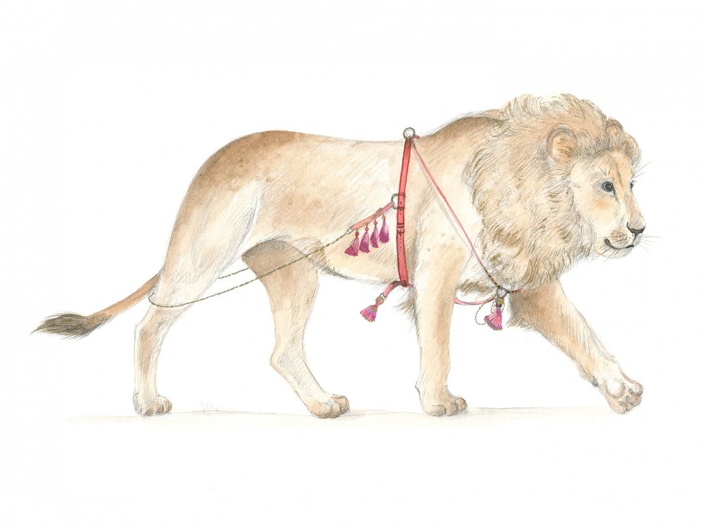 Lion in Harness by Isabelle Brent