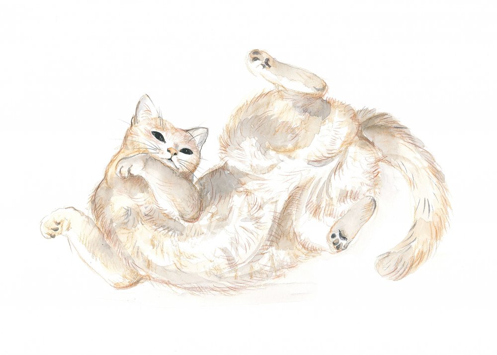Playful Cat by Isabelle Brent