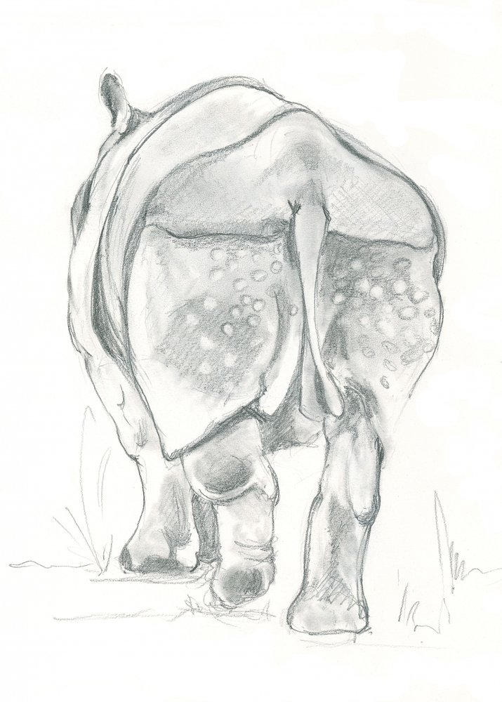 Rhino’s Gentle Stride by Isabelle Brent