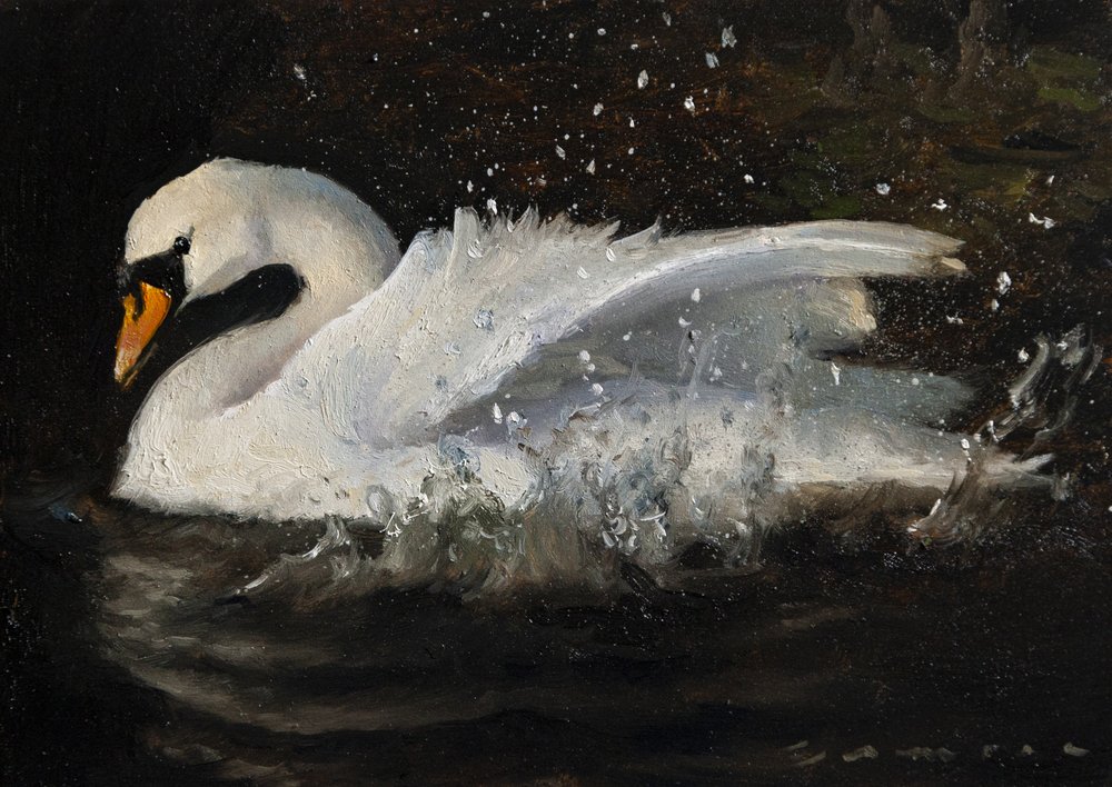 Dancing Swan by James Zamora