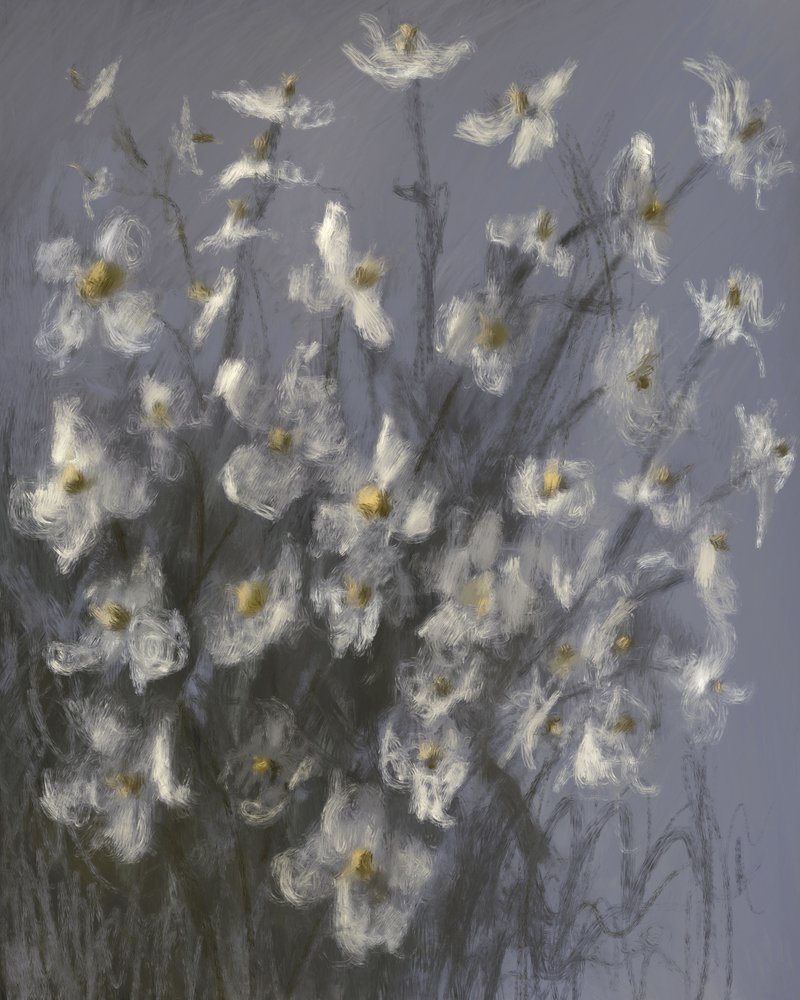 Dreamy White Flowers by James Zamora