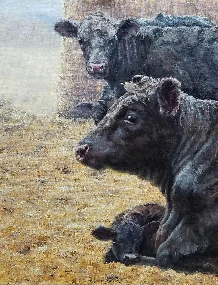 Black Cattle Family by Jan Clizer
