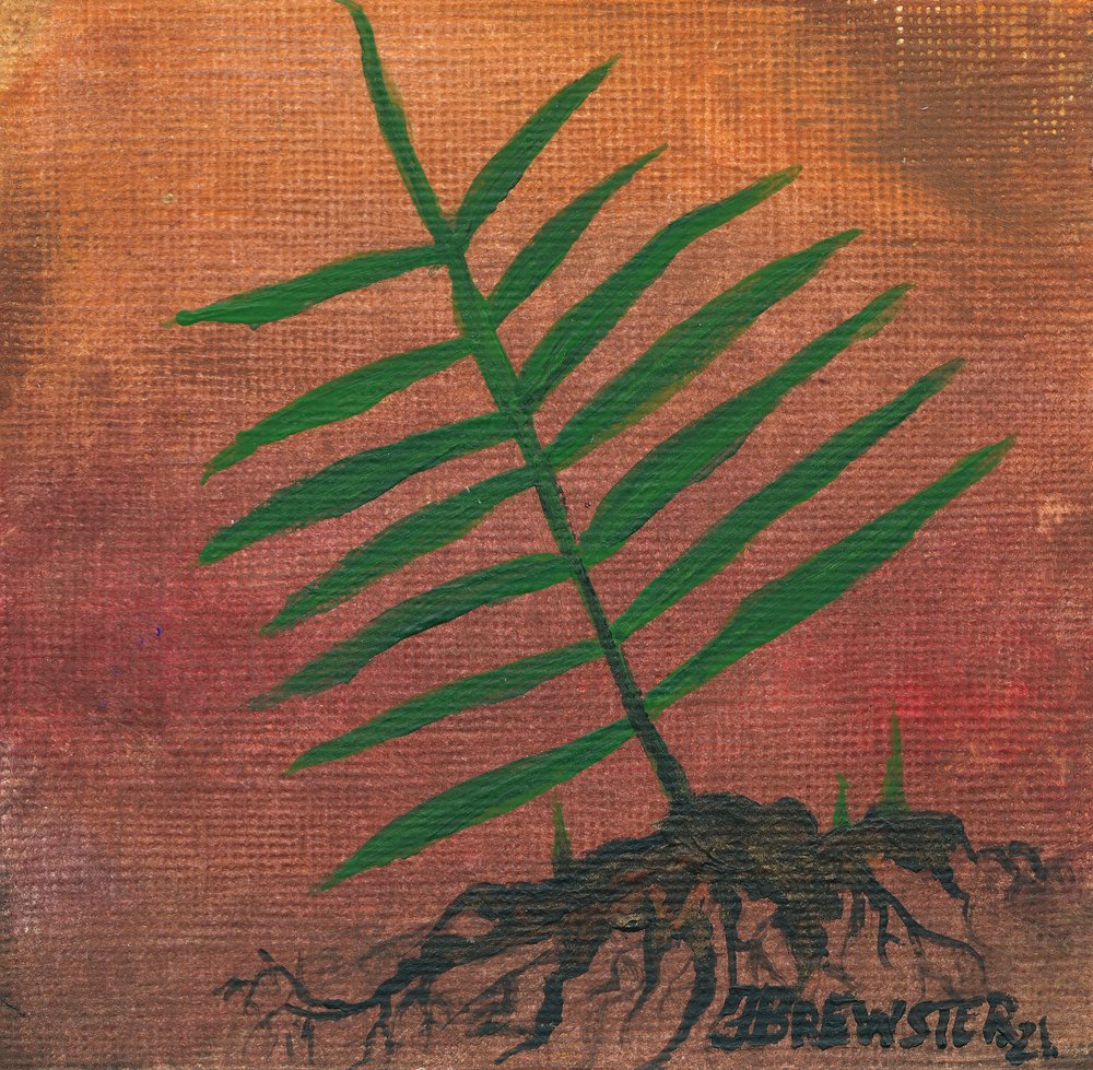Green Fern Roots by Janine Brewster