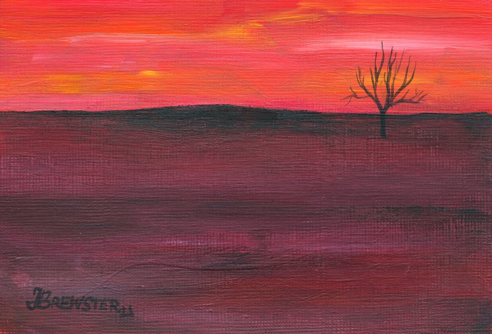 Solitary Sunset Tree by Janine Brewster