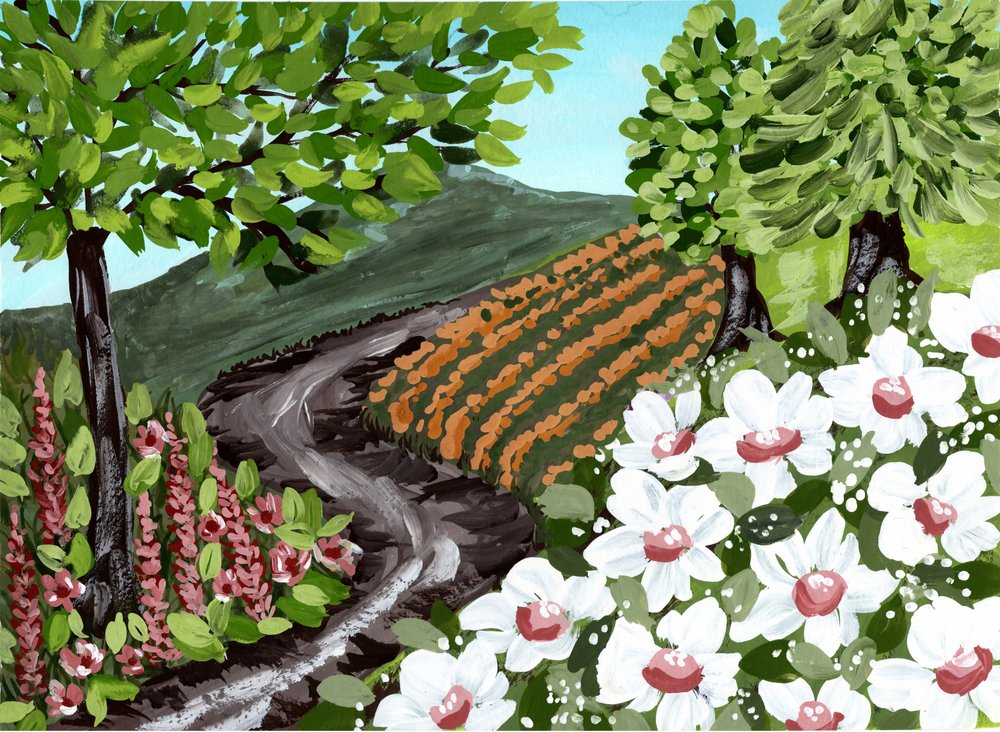 Vineyard Path with Flowers by Jasmine Goodwin