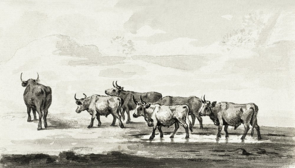 Group of Six Bulls by Jean Bernard