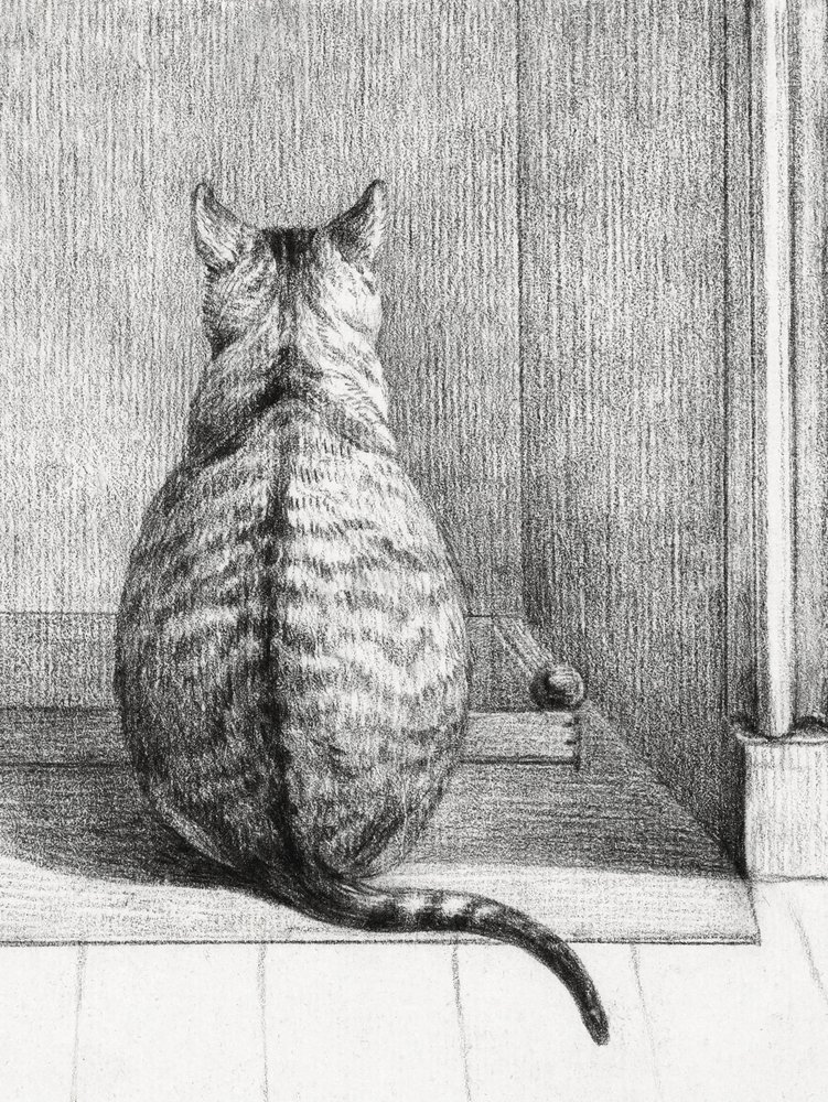 Sitting Cat, From Behind by Jean Bernard
