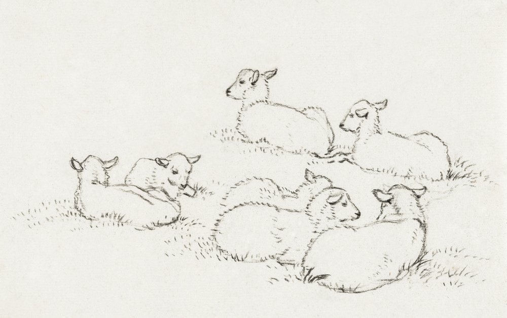 Six Lying Lambs by Jean Bernard