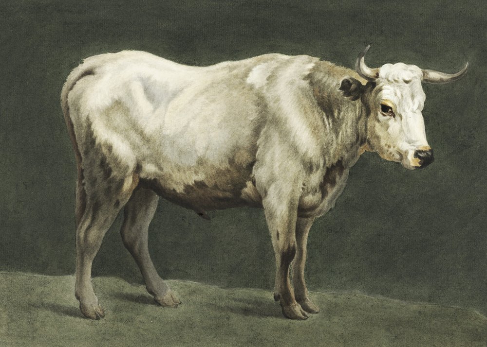 Standing Bull by Jean Bernard