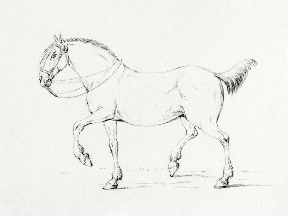 Stepping Horse by Jean Bernard