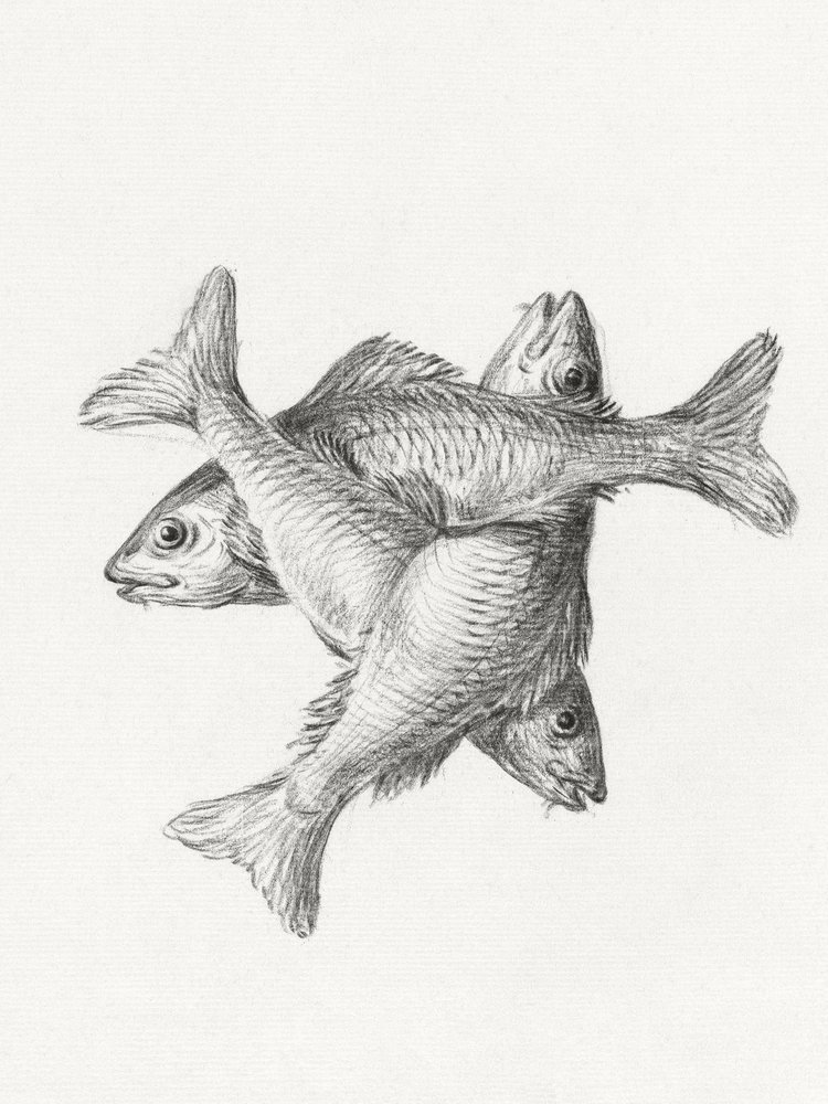 Three Fishes by Jean Bernard