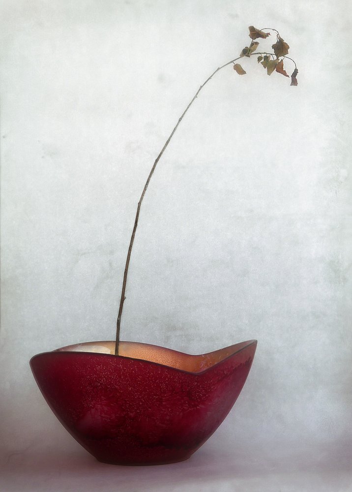 Delicate Autumn Still Life by Jeffrey Hummel