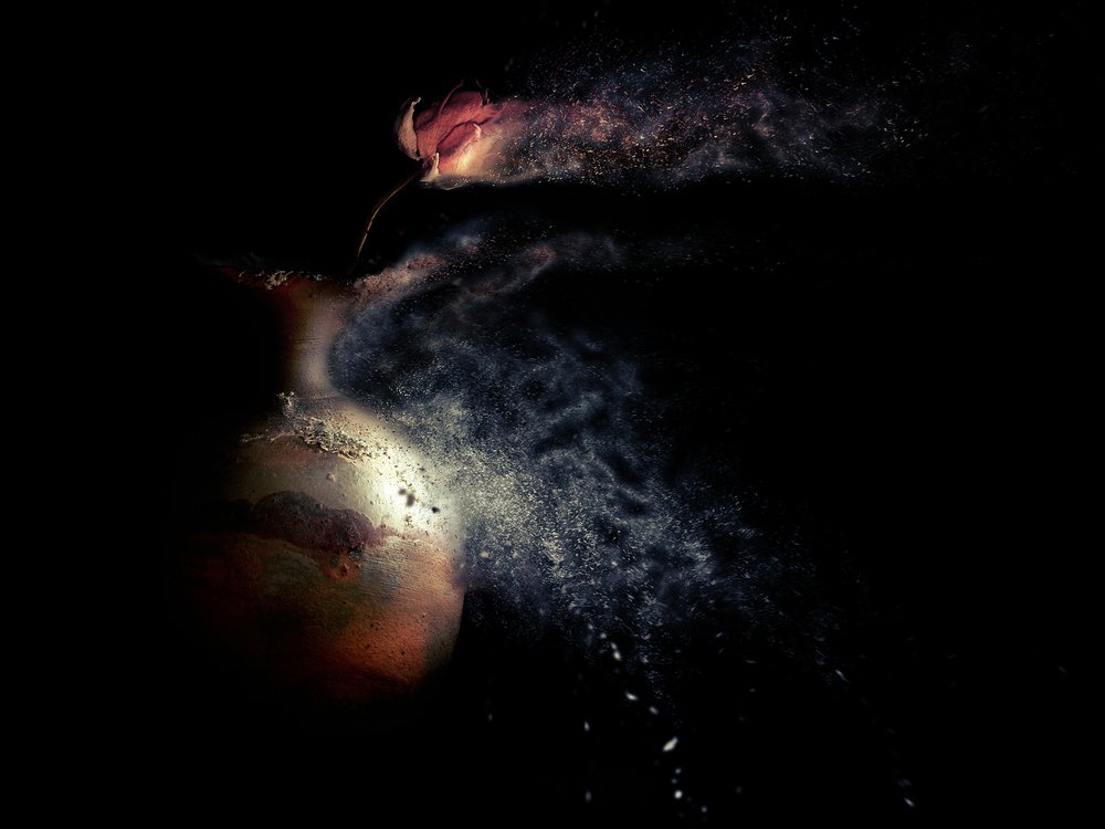 Vanishing Floral Dust by Jeffrey Hummel