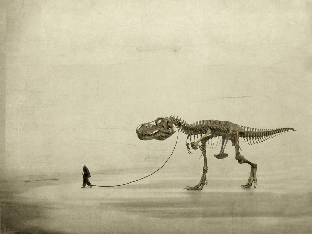 The Walk by Jeffrey Hummel