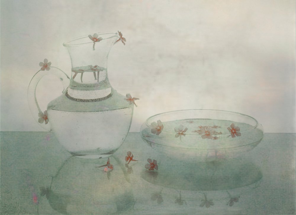 Floating Petals Glass Still Life by Jendy Huang